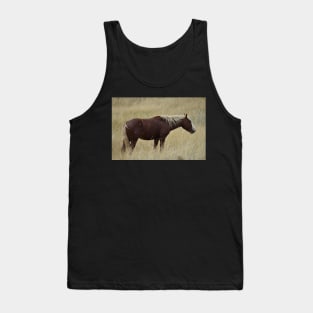 Wild Brown Horse Tank Top